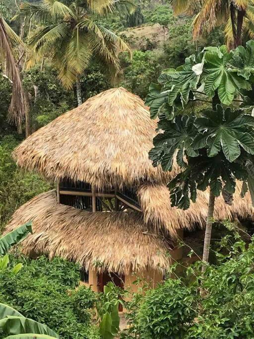 Tropical Cottage en el corazón del caribe El Limon Esterno foto