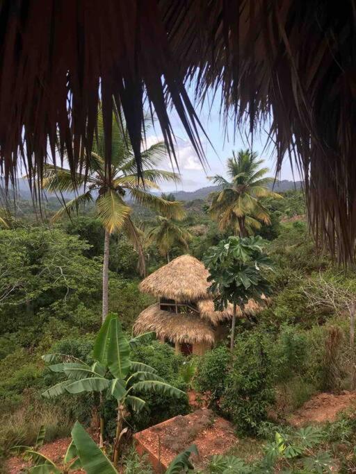 Tropical Cottage en el corazón del caribe El Limon Esterno foto