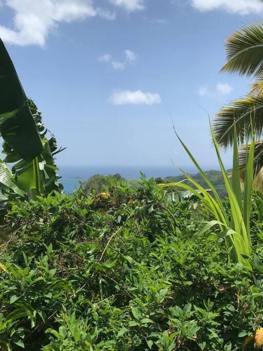 Tropical Cottage en el corazón del caribe El Limon Esterno foto