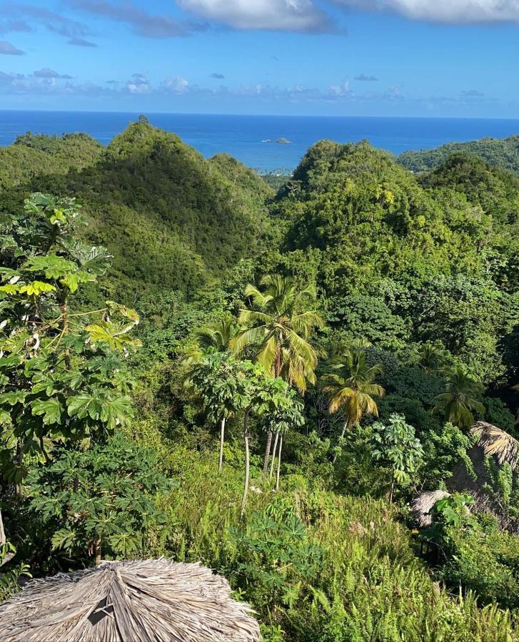 Tropical Cottage en el corazón del caribe El Limon Esterno foto