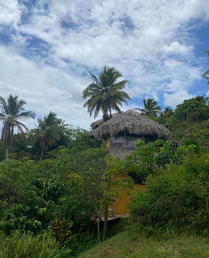 Tropical Cottage en el corazón del caribe El Limon Esterno foto