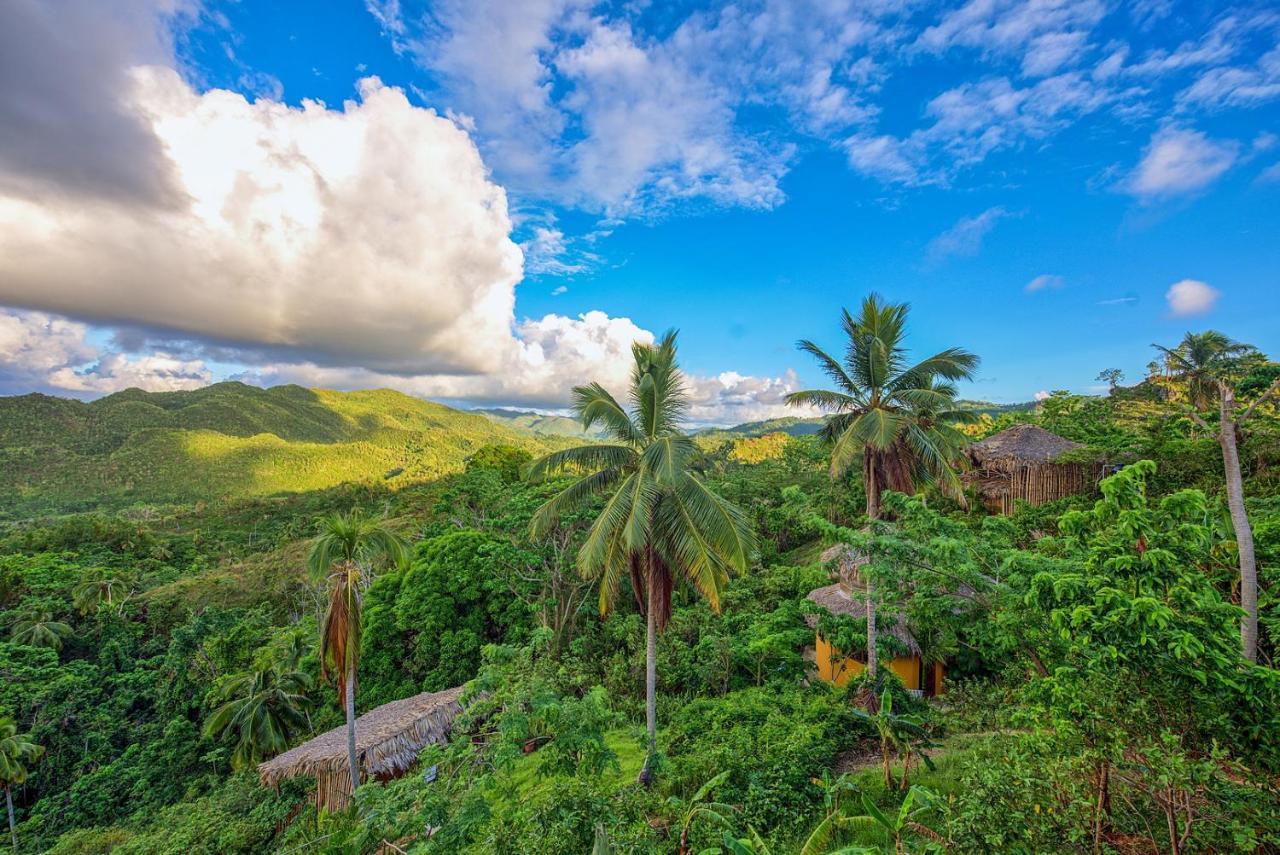 Tropical Cottage en el corazón del caribe El Limon Esterno foto